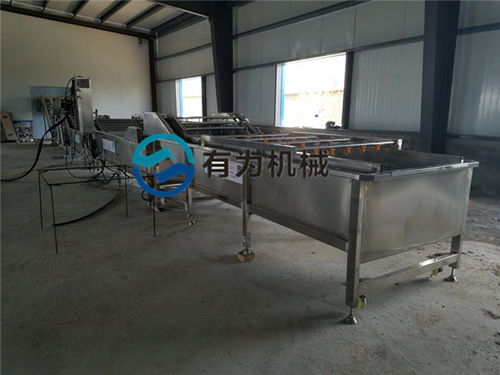 諸城有為公司 深耕蘋果清洗設備領域，服務海南與家用市場